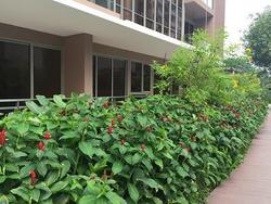 LORONG HOW SUN (D19), Condominium #81578932